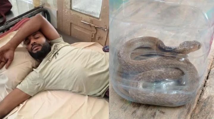 ফরিদপুরে সাপের কামড় খেয়ে সাপ নিয়ে হাসপাতালে যুবক!